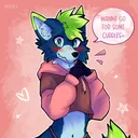 SetoxFoxy