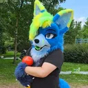 SetoxFoxy