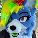 SetoxFoxy