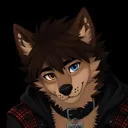 Shadow_der_kleine_Wolf