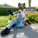 SciFox