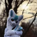 Joiji_HRO