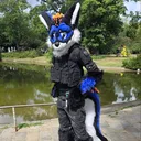 Zenith_The_Rexouium