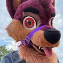 Taro