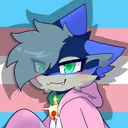 KiecoTheFox