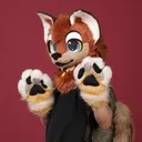 Wolfi