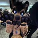 Ace Shepherd