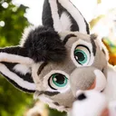 Swift_Lynx