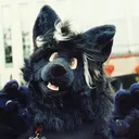 Shadowwolfen