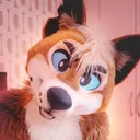 DixonDingo